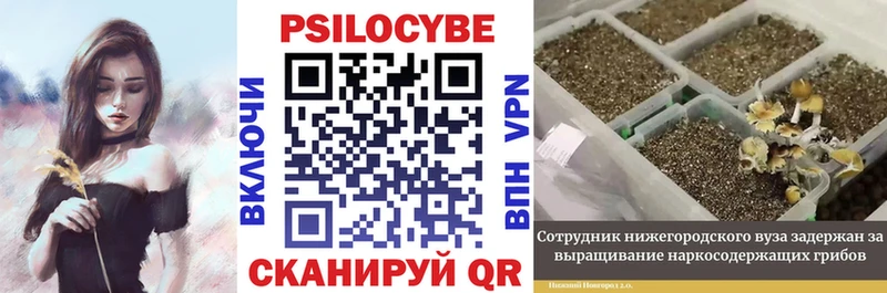 Галлюциногенные грибы мицелий  Сланцы 